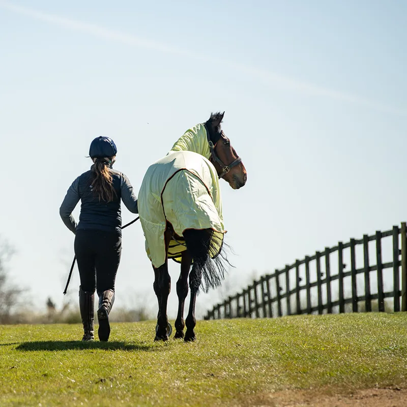 Equilibrium Field Relief Combo Neck Fly Rug - Yellow/Black-6